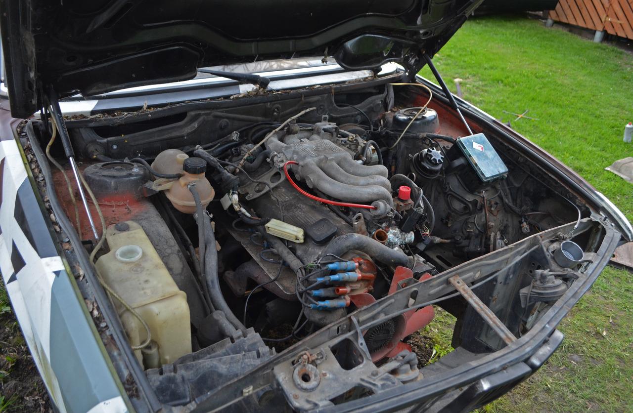 DSC_0540,5.jpg