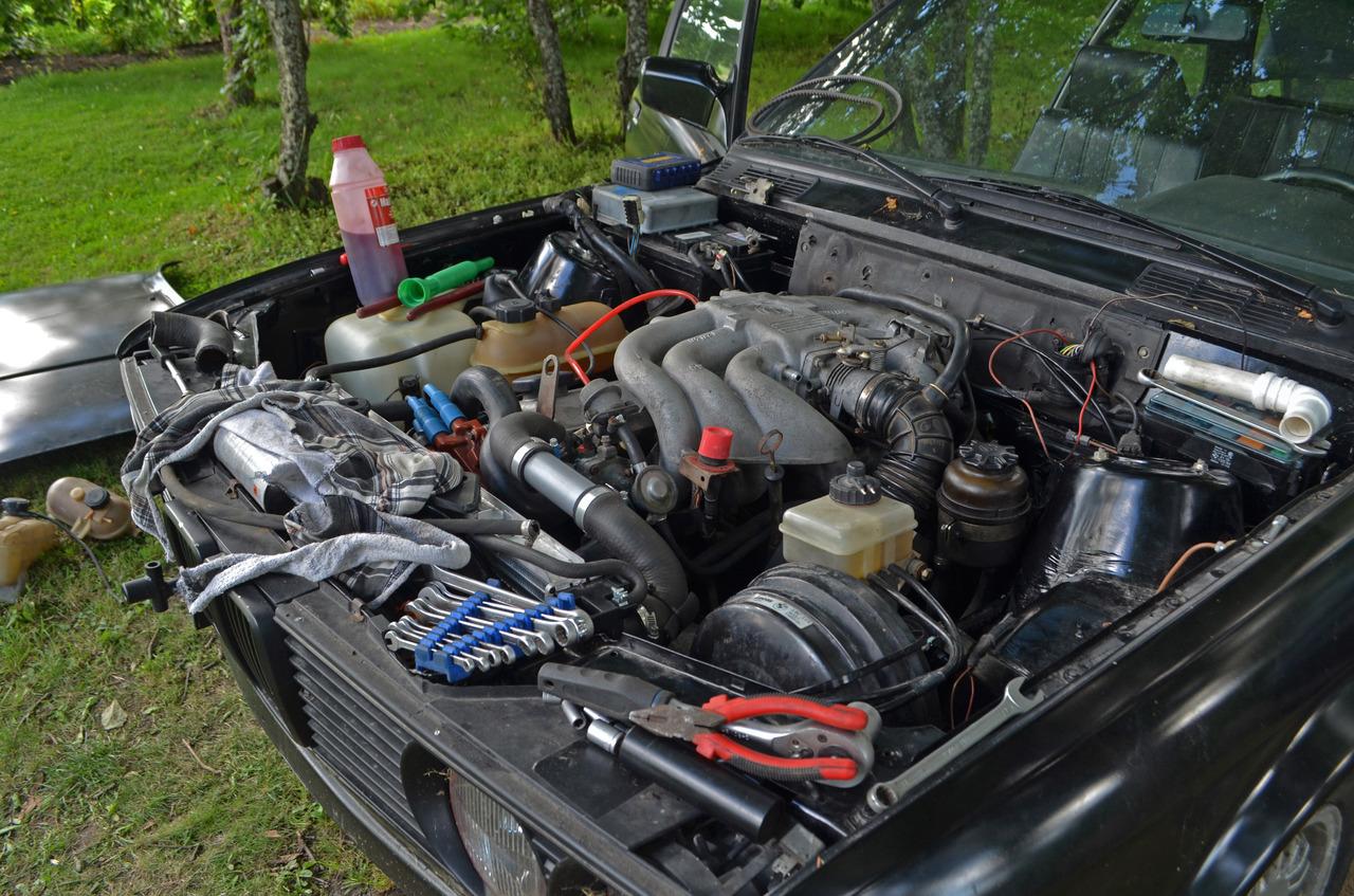 DSC_1125,5.jpg