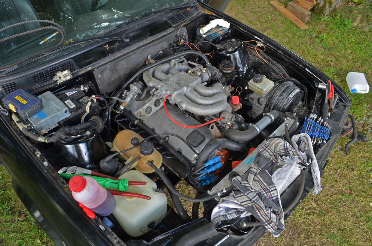 DSC_1127,5.jpg