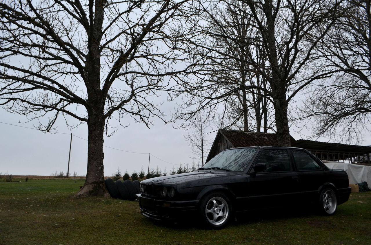 DSC_01645.jpg