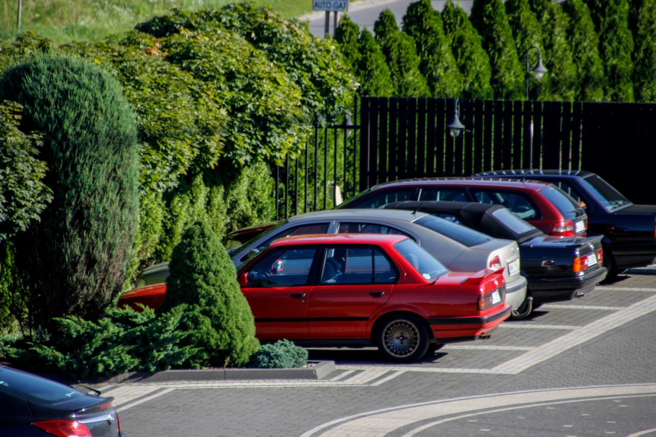 _MG_7223.jpg