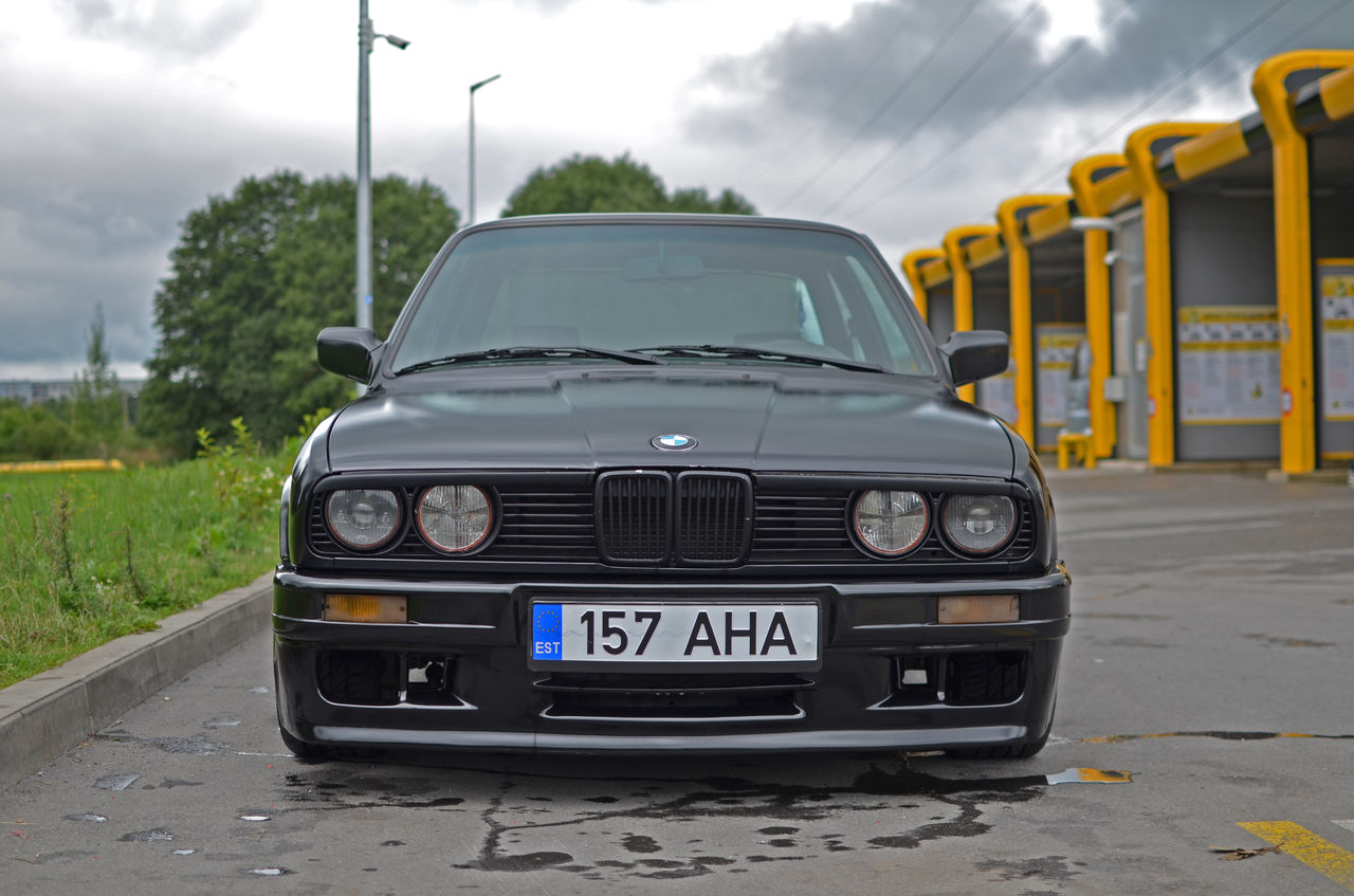 59aab33e4b021_DSC_12235.jpg.177dd5f15d4f27e013a9fdb39b82766c.jpg