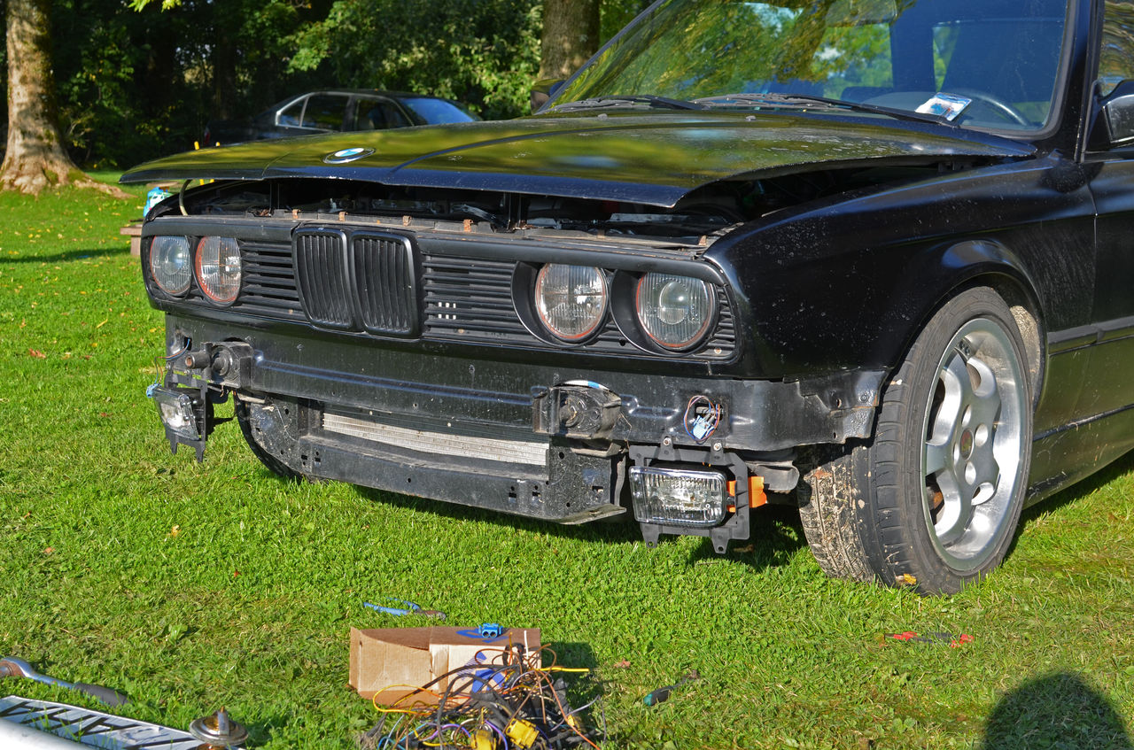 59bf910d2ae19_DSC_12585.jpg.3964542cd1a55964ed0ca83c4475c75e.jpg