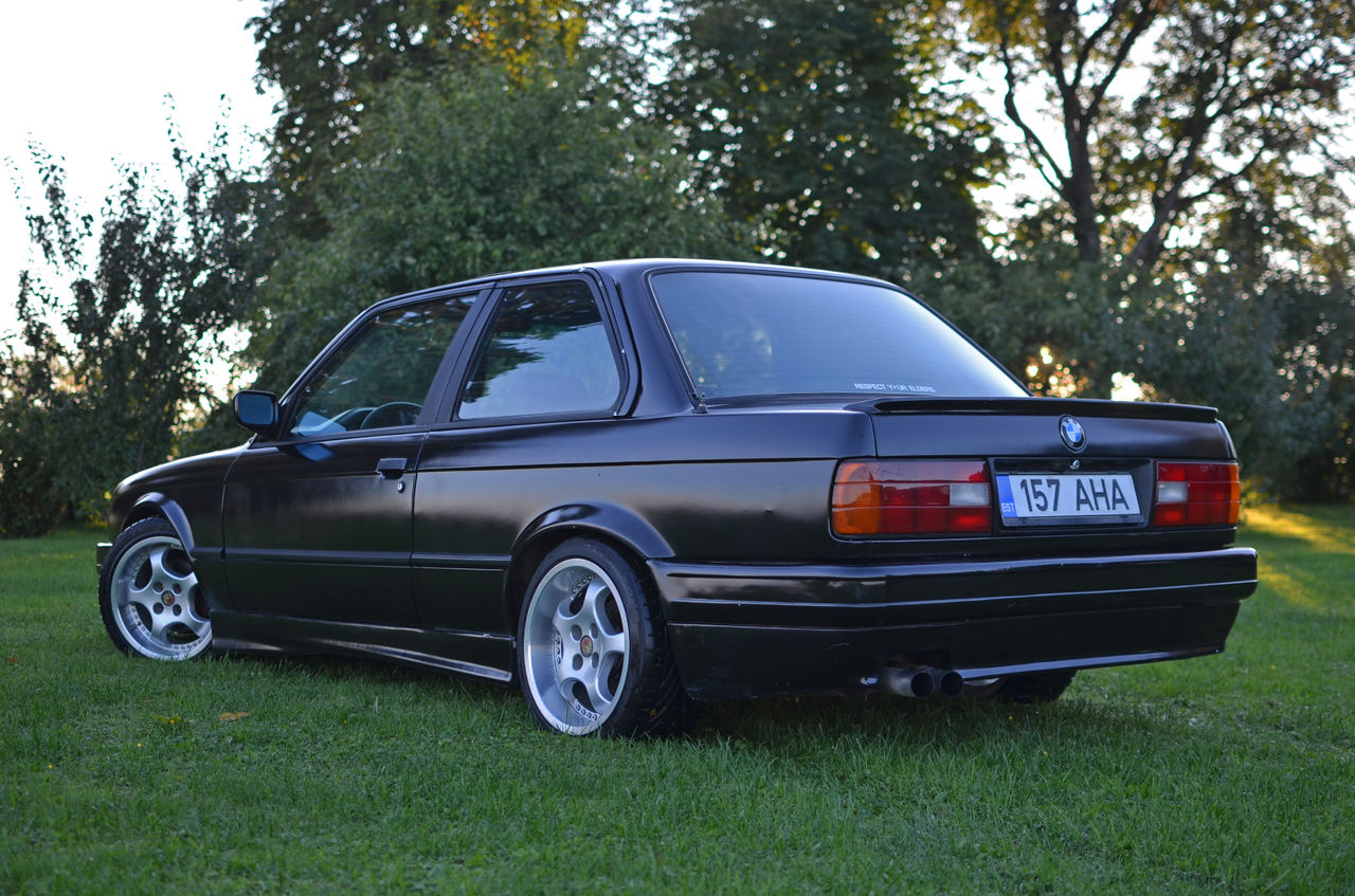 59bf956f49024_DSC_12655.jpg.7e69dc5af104696cfbc28126cc7e9a1a.jpg