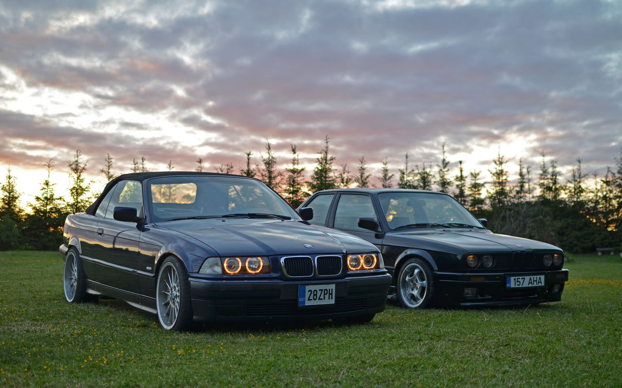 DSC_2439.5.jpg.45b65f10aef7e745cd16e6ac4f31c792.jpg