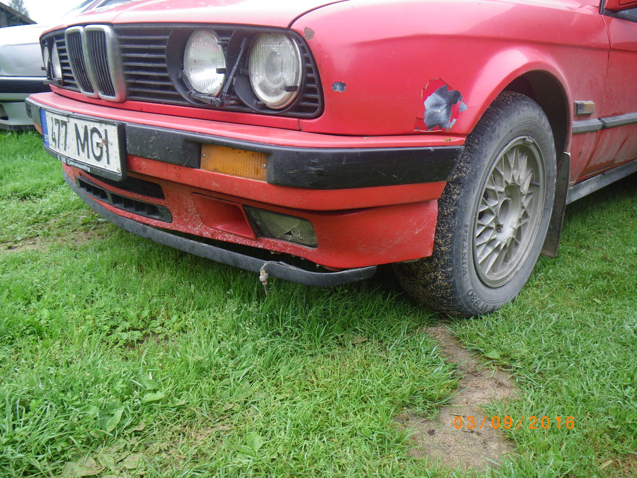 IMGP13789.JPG.9848522df85c01065f90832c299d3d41.JPG